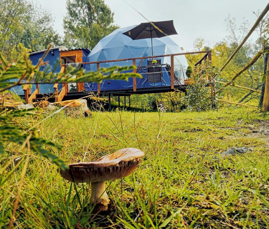 מלון גוואטביטה Glamping Blue מראה חיצוני תמונה